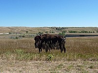 Badlands (27).JPG